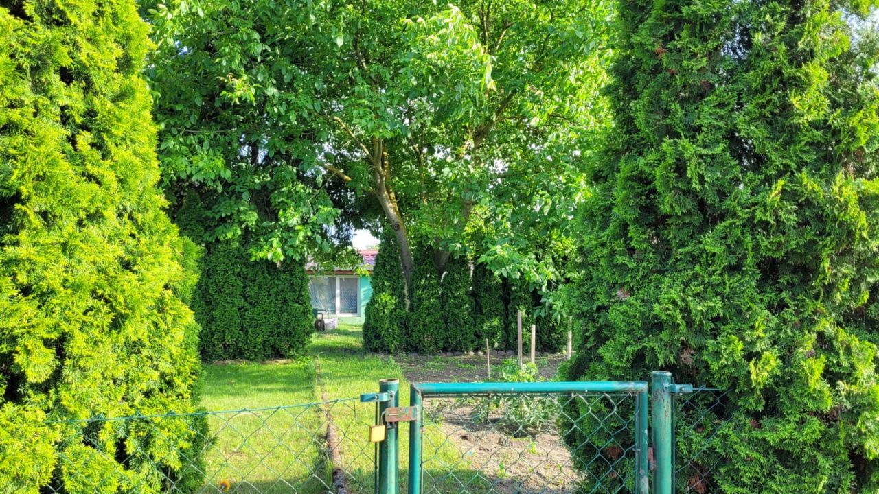 Działka rod Babimost, Żwirki I Wigury. Zdjęcie 3