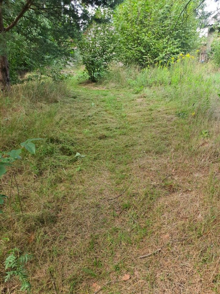 dom wolnostojący Czarna. Zdjęcie 5