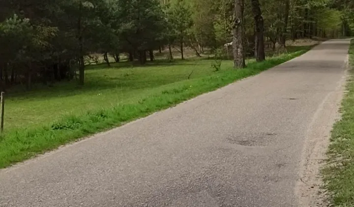 Działka siedliskowa Warniłęg