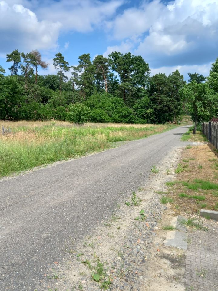 Działka rolno-budowlana Lubniewice, ul. Lawendowa. Zdjęcie 7