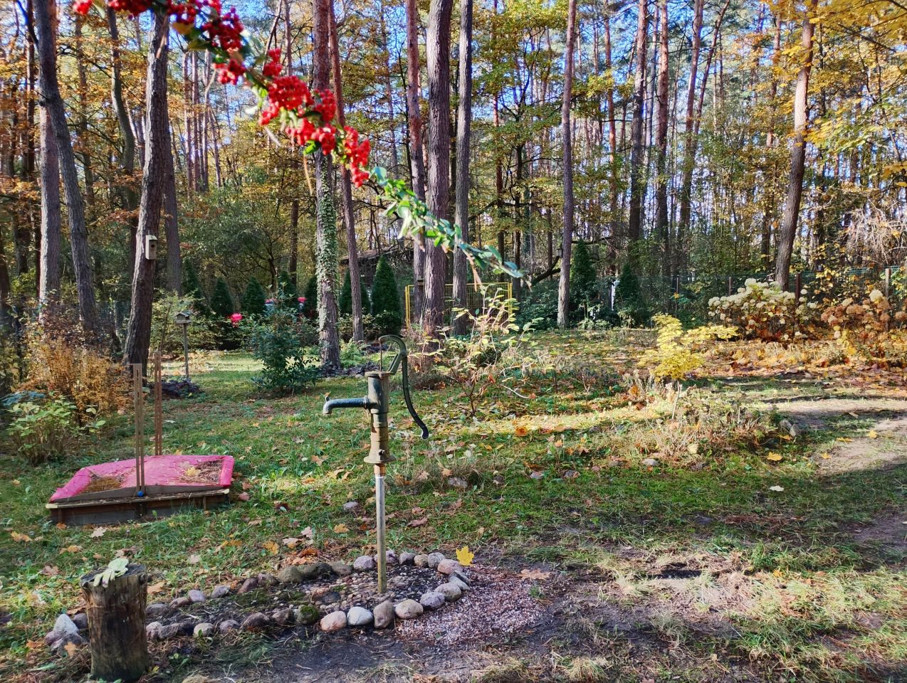 Działka rekreacyjna Sikory. Zdjęcie 11