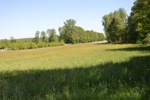 Działka budowlana Hipolitów. Zdjęcie 2