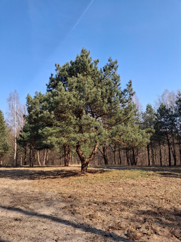 Działka budowlana Ossówno