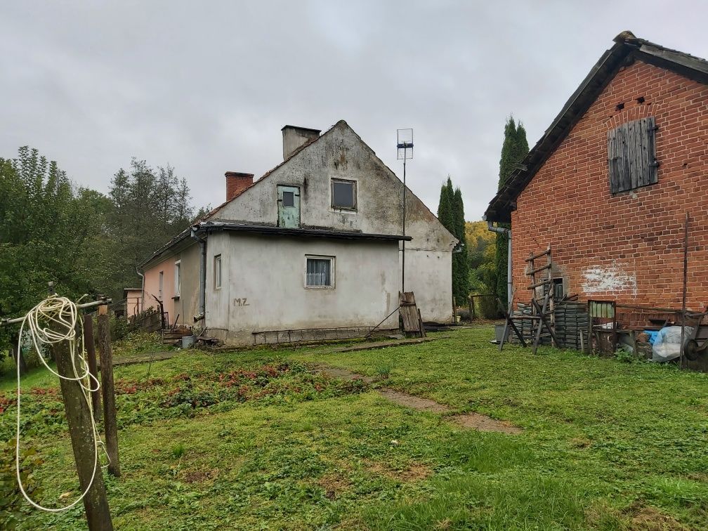 Działka rekreacyjna Plenowo. Zdjęcie 5