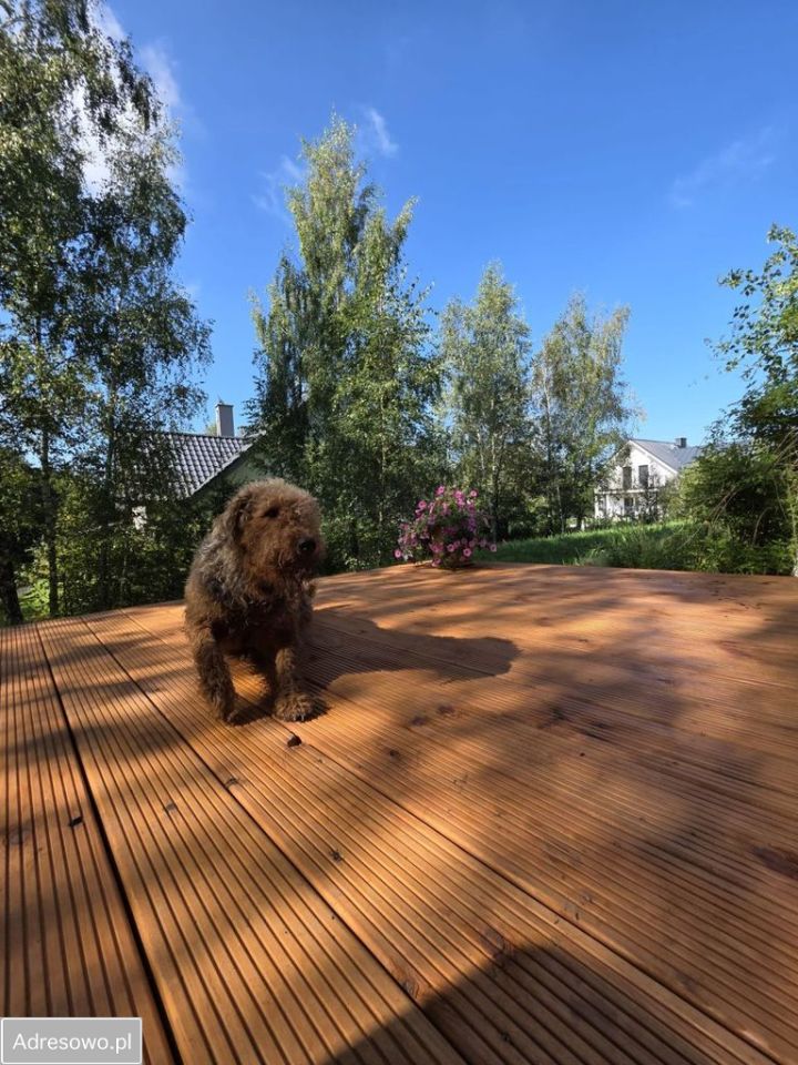 dom wolnostojący, 4 pokoje Pępowo, ul. Łąkowa. Zdjęcie 5