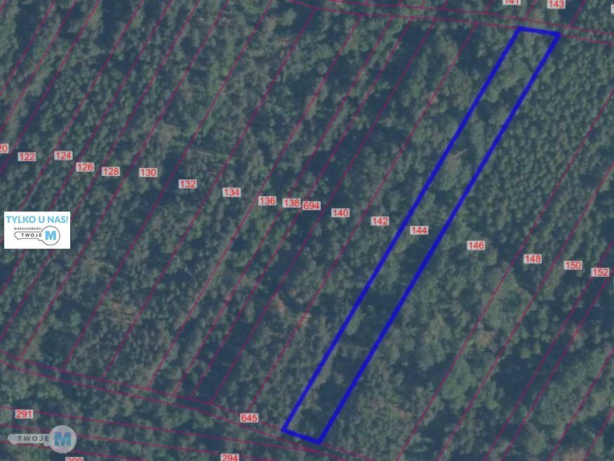 Działka leśna Osiny. Zdjęcie 1