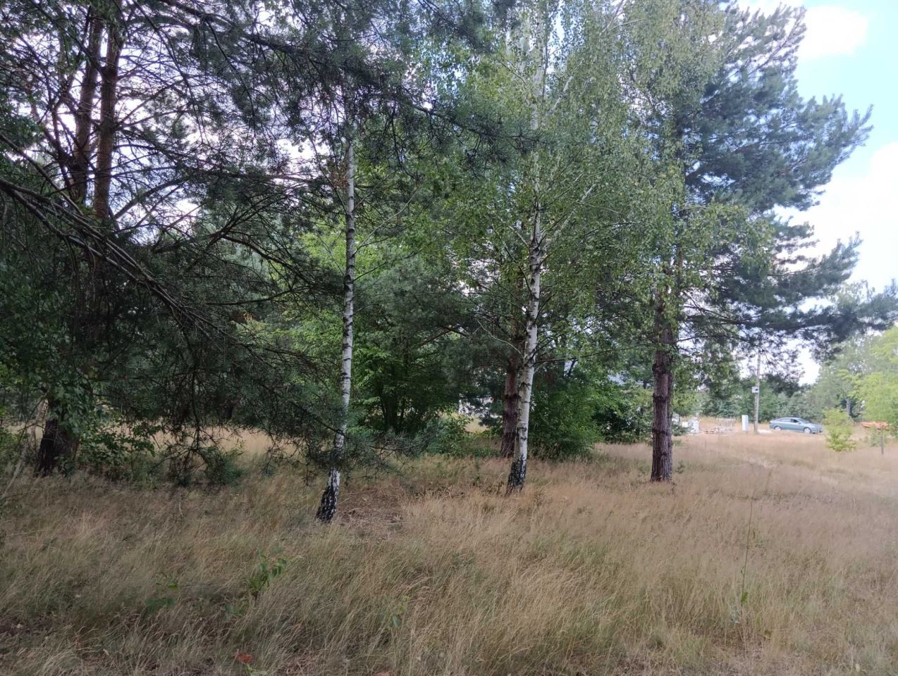 Działka rolna Rudnik nad Sanem. Zdjęcie 6