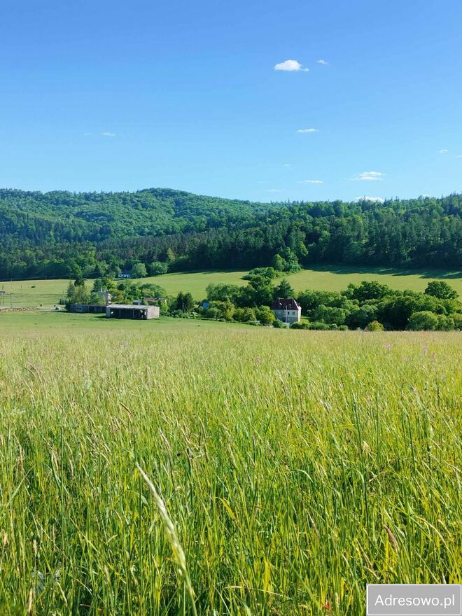 Działka budowlana Leszczyny. Zdjęcie 1