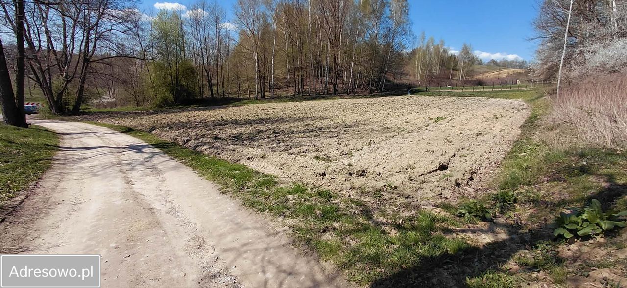 Działka siedliskowa Rzeczyca-Kolonia. Zdjęcie 6