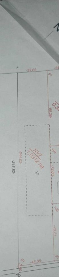 Działka rolna Stefanówka. Zdjęcie 4