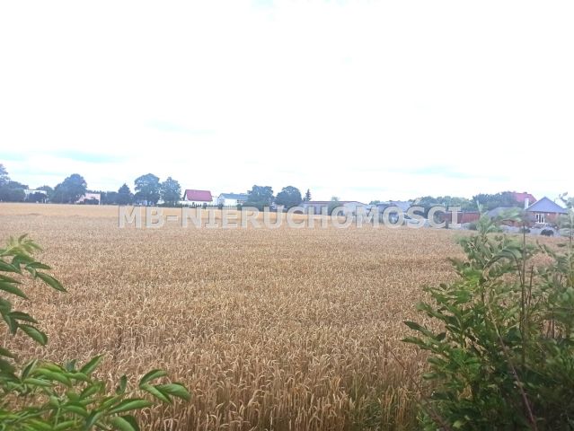 dom wolnostojący, 6 pokoi Nowe Grodziczno. Zdjęcie 4