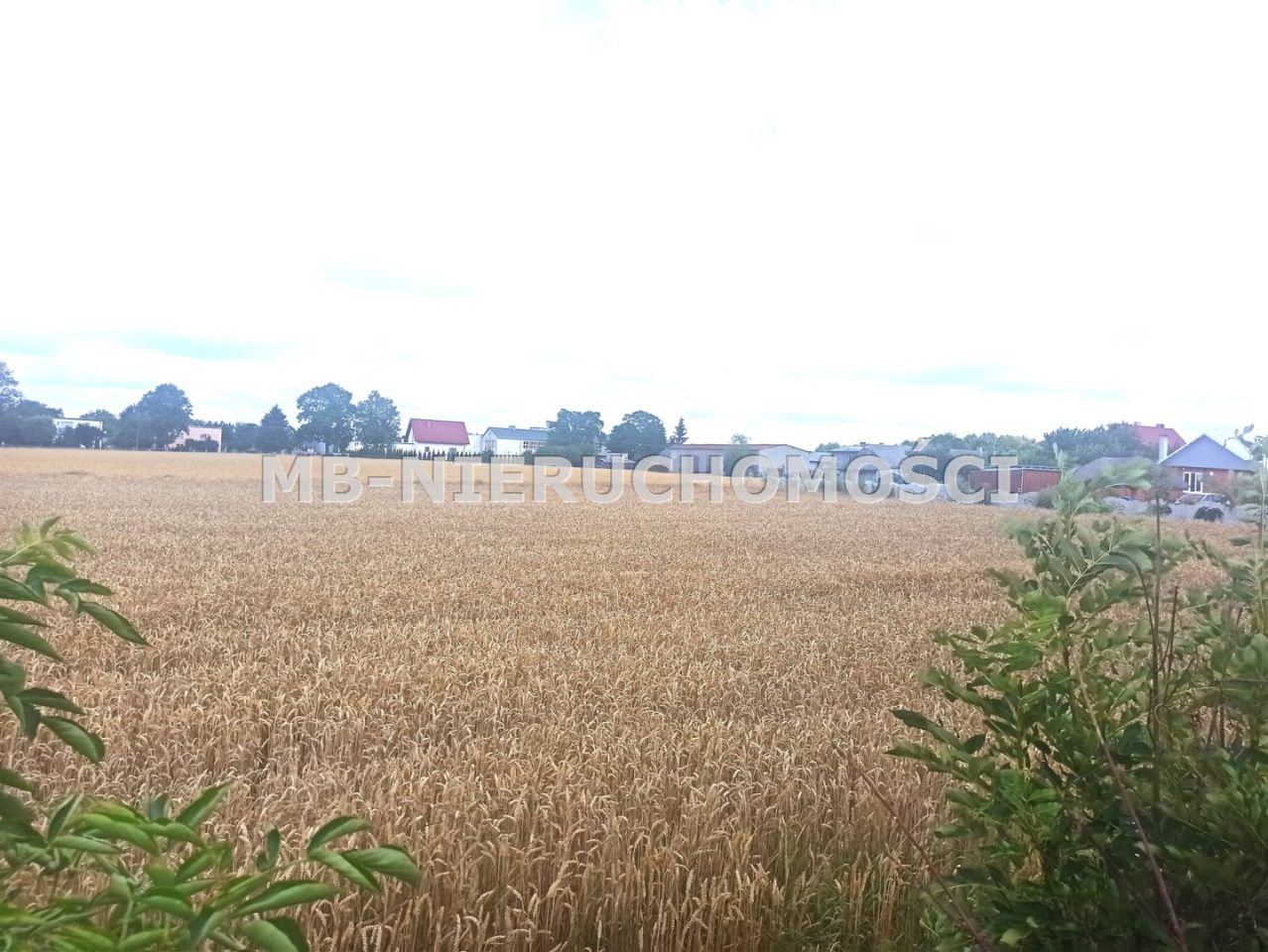 dom wolnostojący, 6 pokoi Nowe Grodziczno. Zdjęcie 4