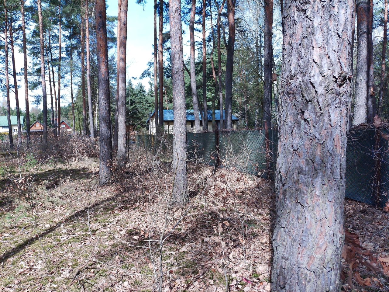 Działka budowlana Marynino, Sosnowa. Zdjęcie 24