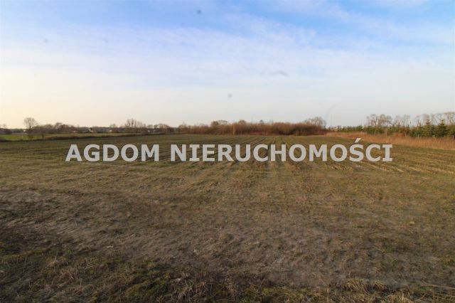 Działka rolna Chełmica Duża. Zdjęcie 3