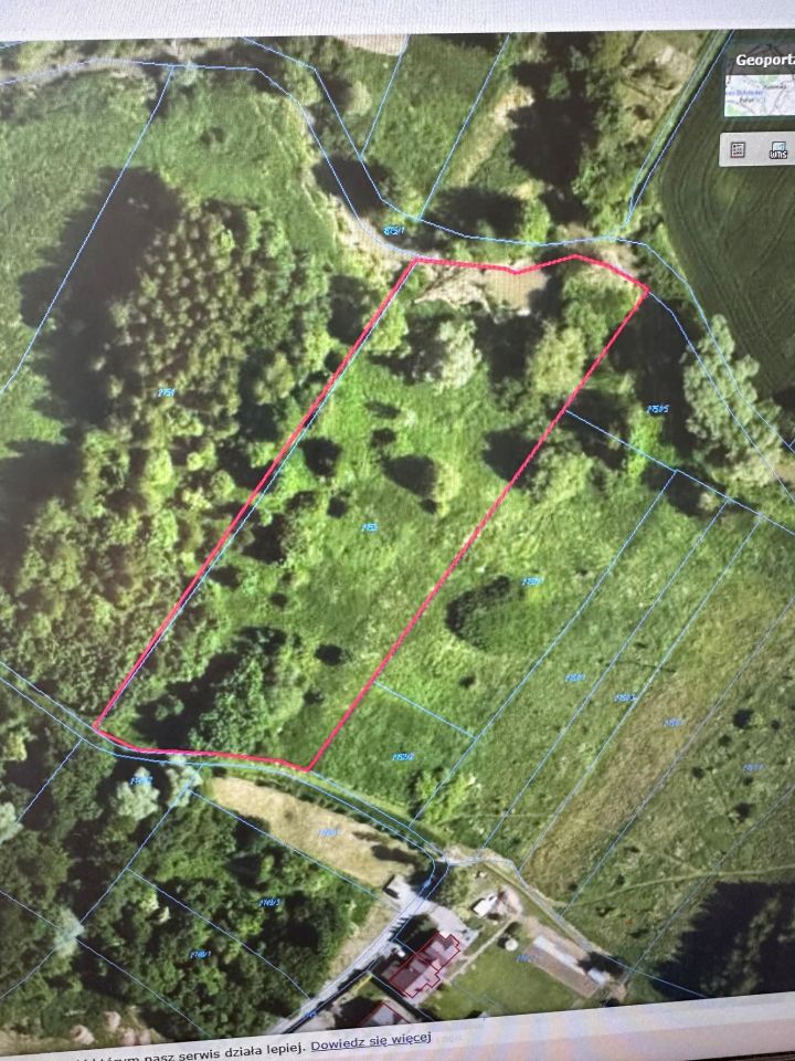 Działka rolna Borek Stary Podklasztor. Zdjęcie 9