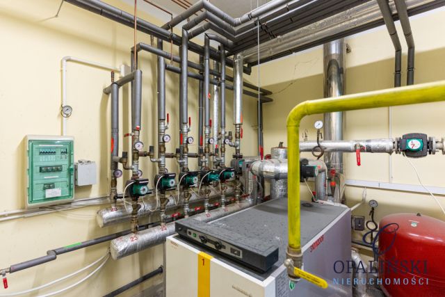 Lokal Lubenia. Zdjęcie 27