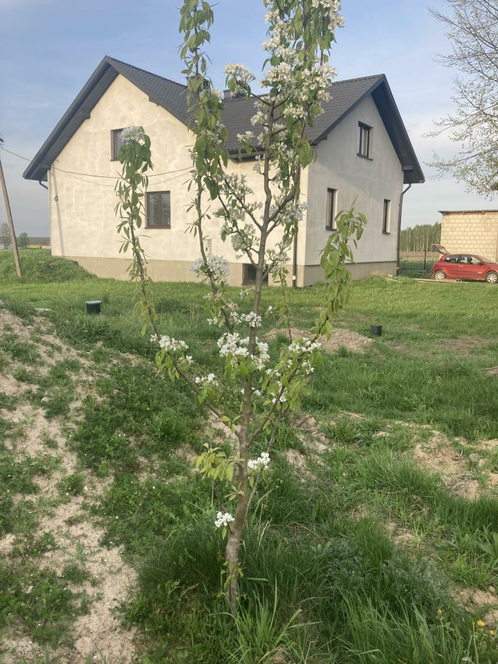 gospodarstwo Babin. Zdjęcie 5