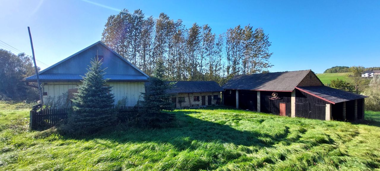 gospodarstwo, 2 pokoje Ołpiny. Zdjęcie 13