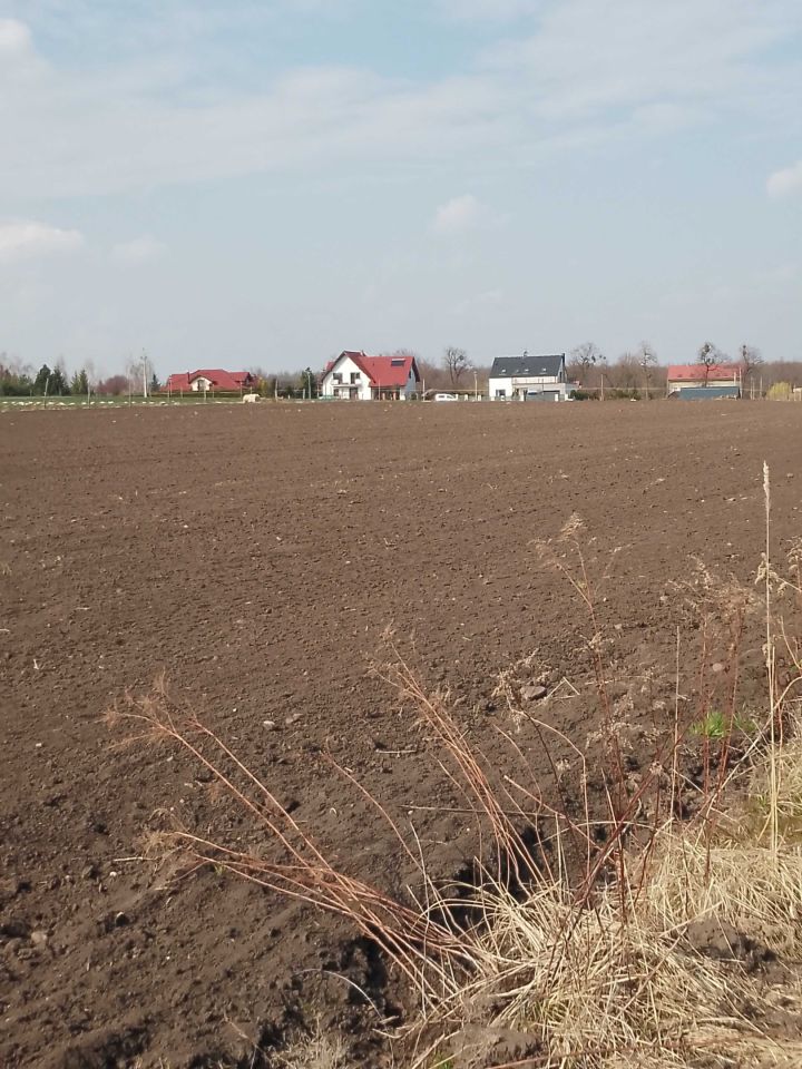 Działka budowlana Krzeptów. Zdjęcie 2