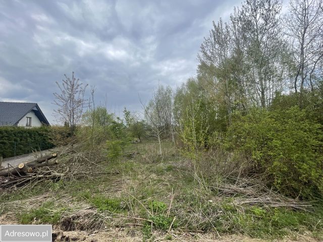 Działka budowlana Golkowice. Zdjęcie 1