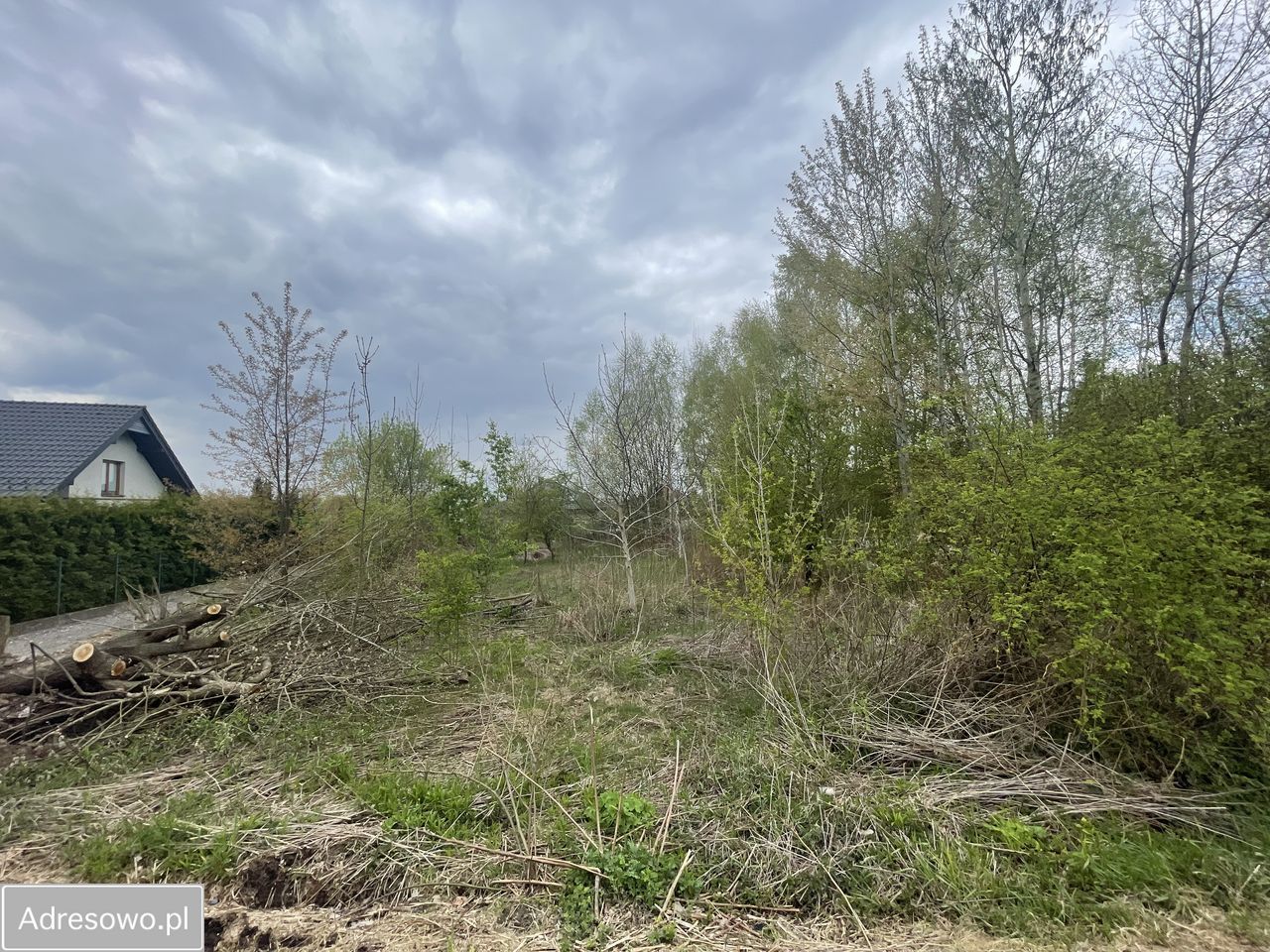 Działka budowlana Golkowice. Zdjęcie 1