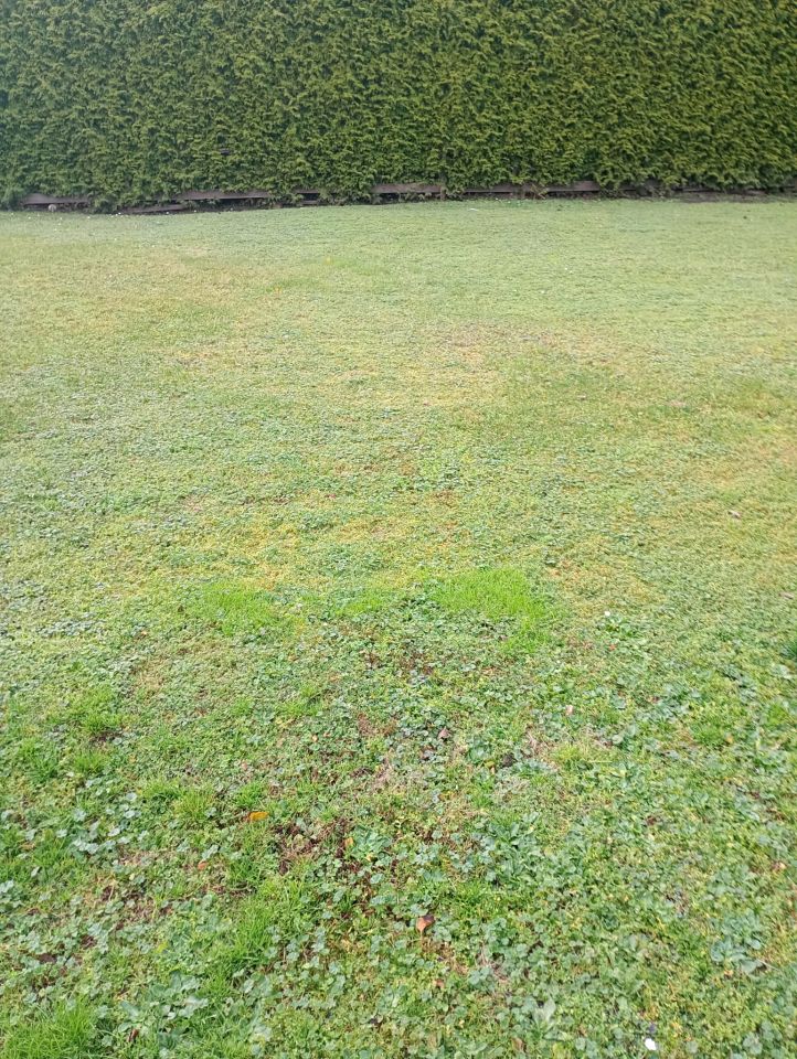 Działka budowlana Płośnica, ul. Kościelna. Zdjęcie 3