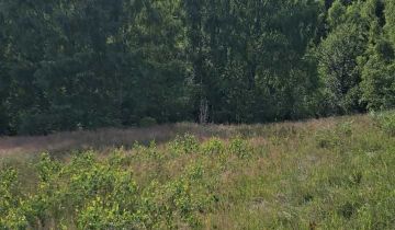 Działka budowlana Kocierz Rychwałdzki