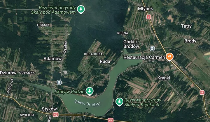 Działka rolno-budowlana Ruda Ruda Mała, Widok