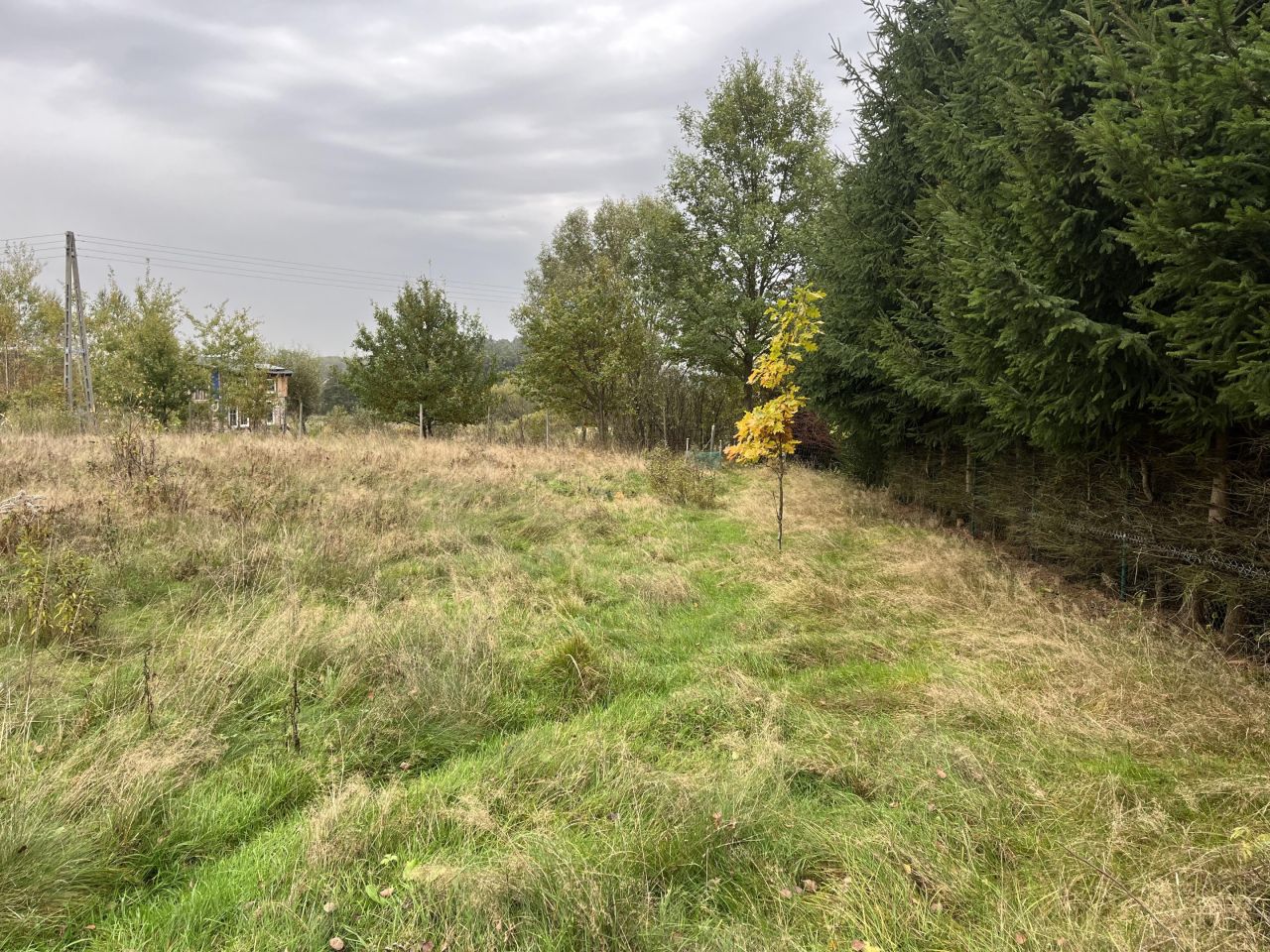 Działka budowlana Giebułtówek. Zdjęcie 12