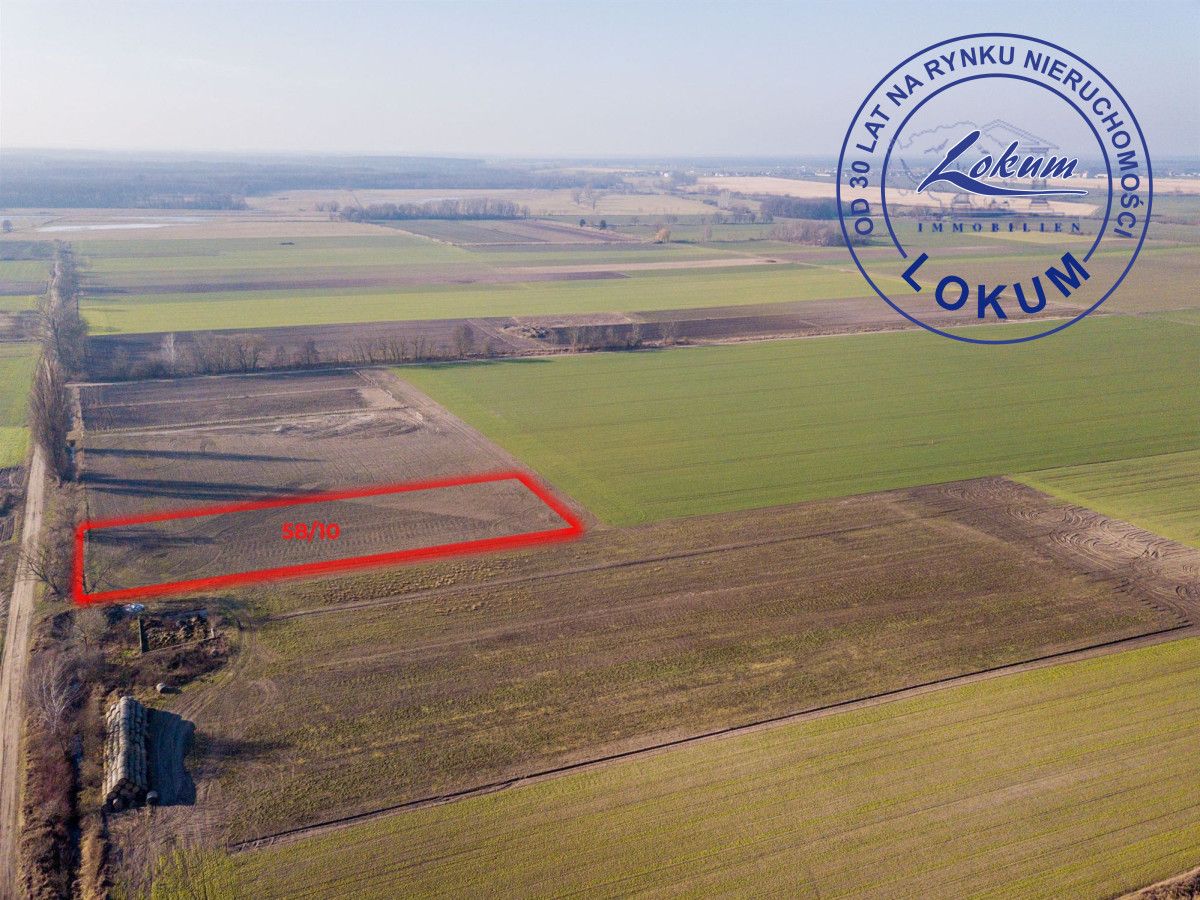 Działka siedliskowa Przybyszewo. Zdjęcie 8