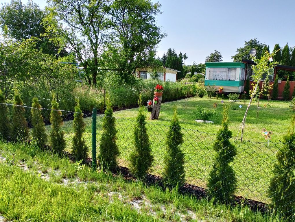 Działka rod Koszalin Kretomino, ul. Słowiańska. Zdjęcie 7