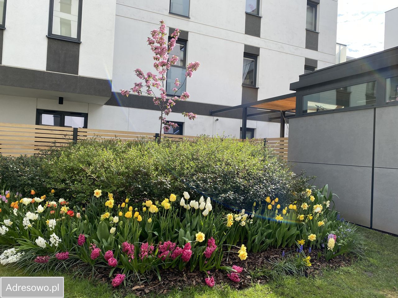 Mieszkanie 3-pokojowe Warszawa Odolany, ul. Jana Kazimierza. Zdjęcie 2