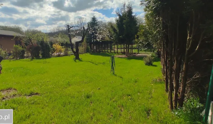 Działka rod Szczecin Stołczyn, ul. Golęcińska