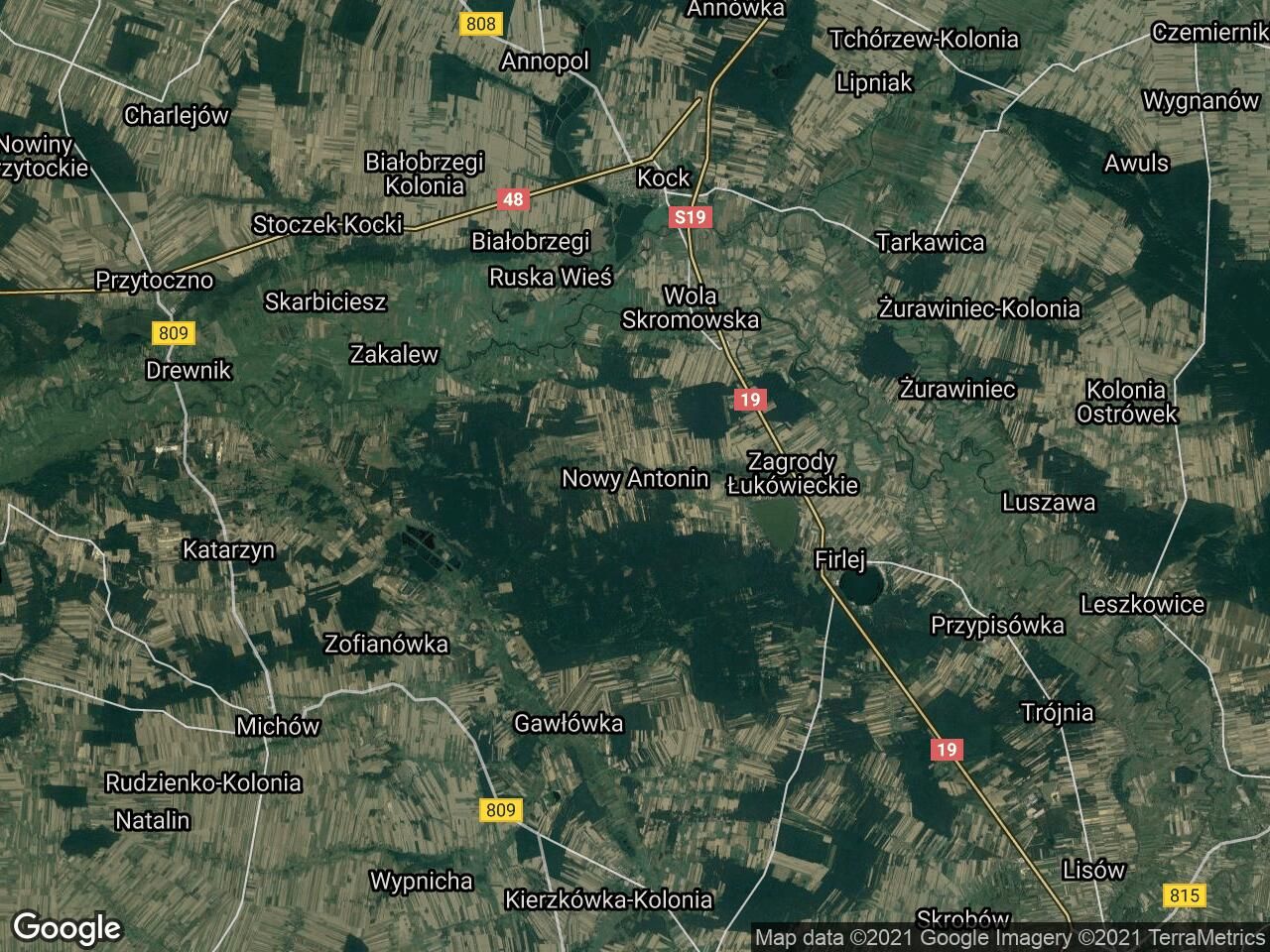 Działka leśna Nowy Antonin Rzym. Zdjęcie 2