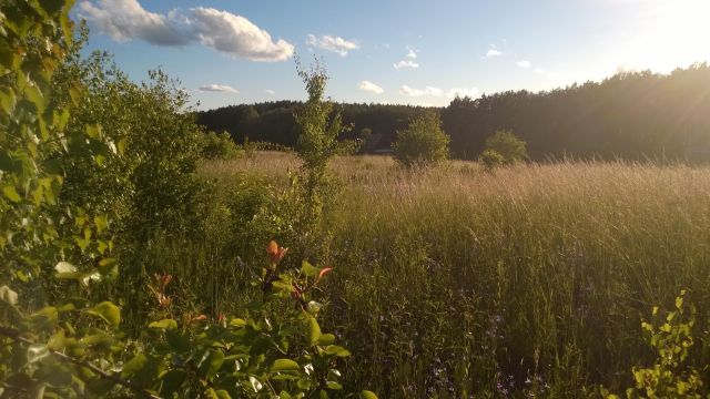 Działka budowlana Pluski, ul. Polna. Zdjęcie 10