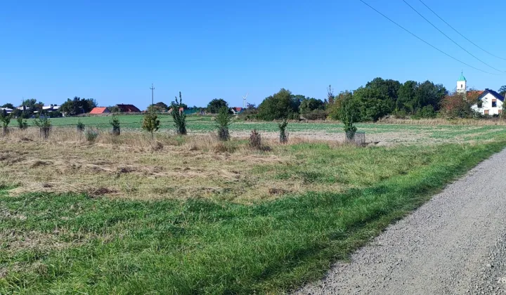 Działka rolna Taczalin