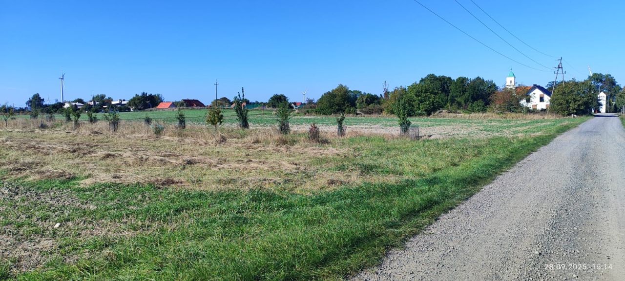 Działka rolna Taczalin