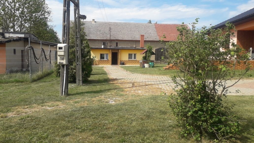 gospodarstwo Dębiec. Zdjęcie 4