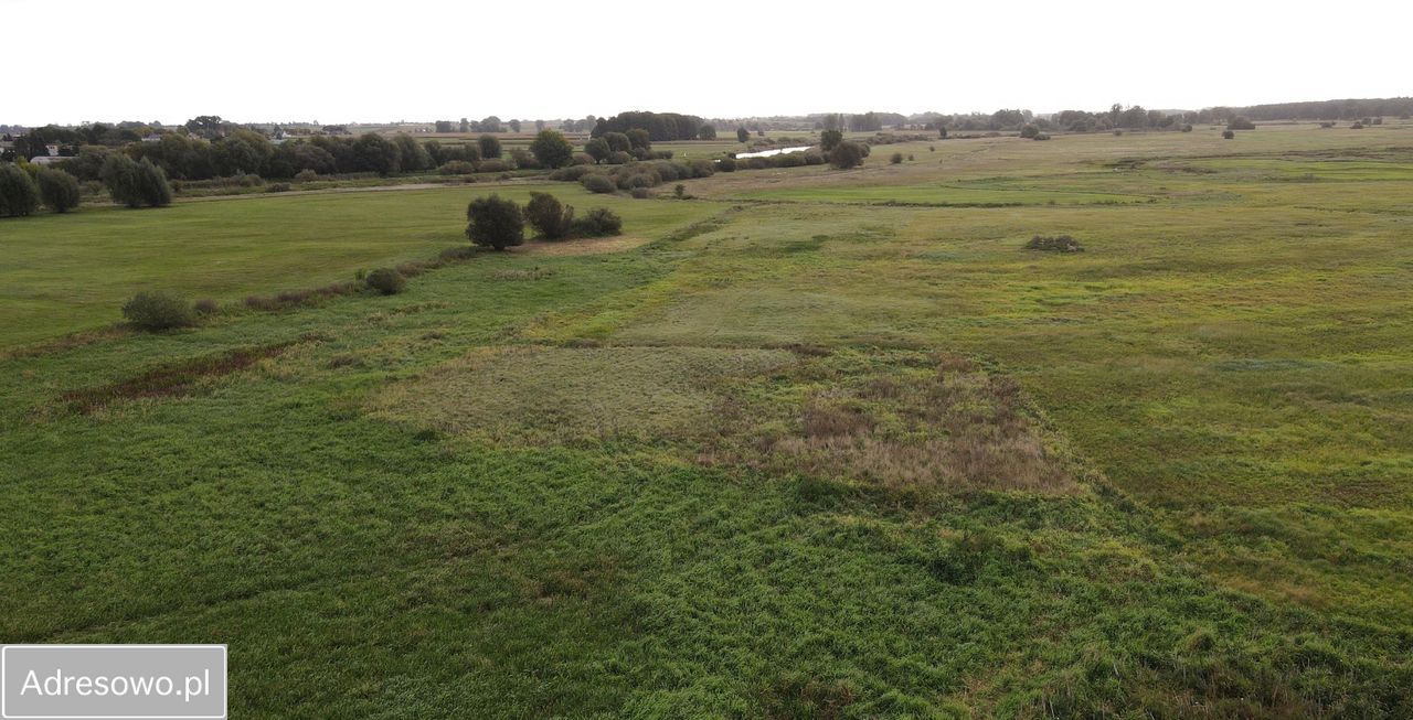 Działka rolno-budowlana Ciążeńskie Holendry. Zdjęcie 4