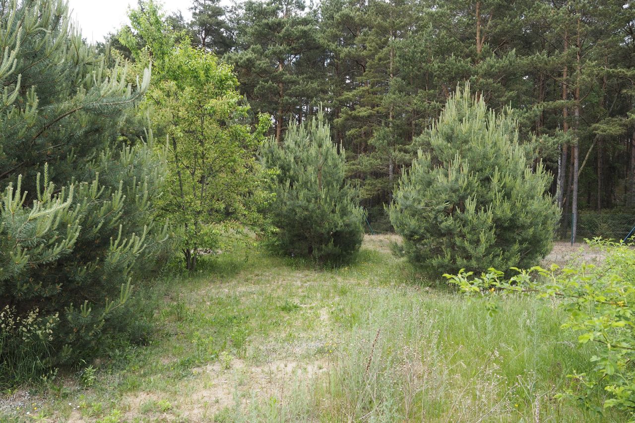 Działka budowlana Dzikowo Chrapy, ul. Tulipanowa. Zdjęcie 8