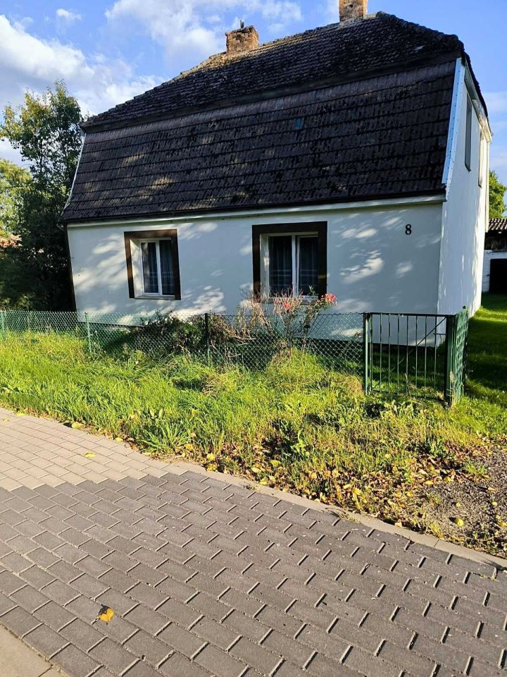 Zdjęcie 5