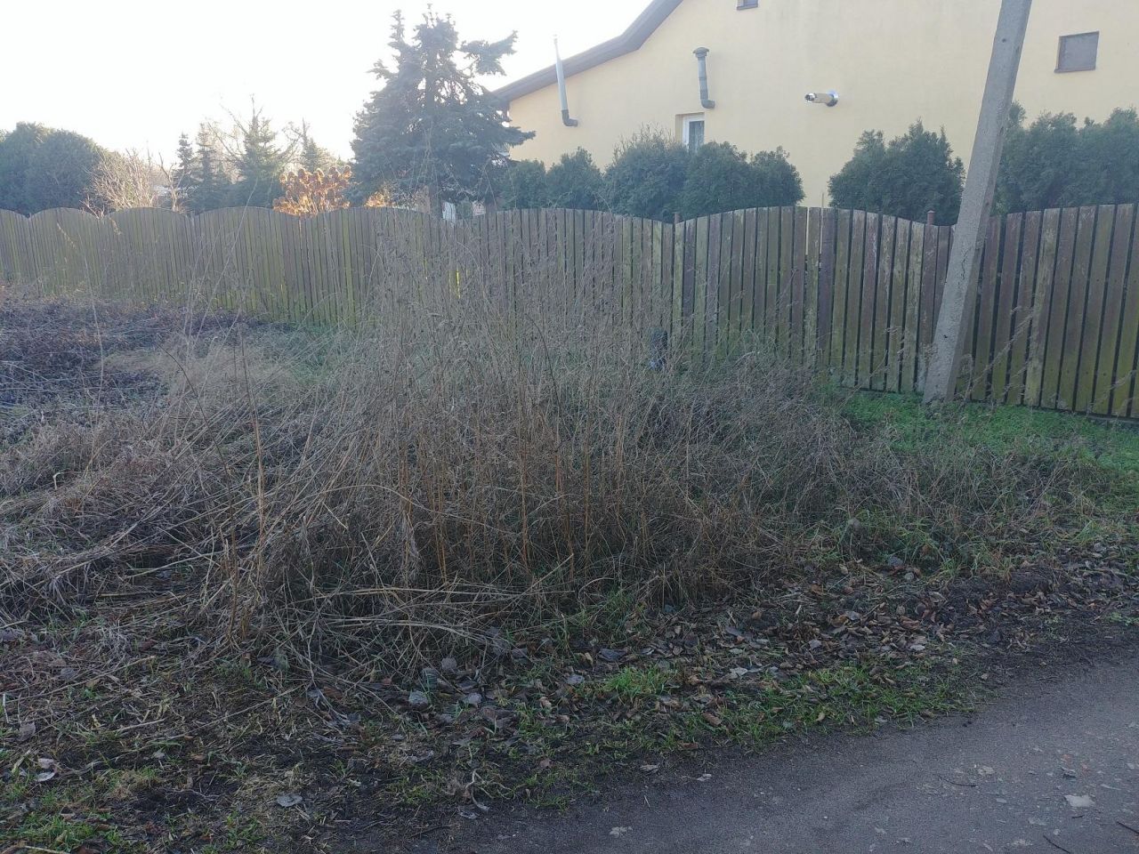 Działka budowlana Lucynów, ul. Warszawska. Zdjęcie 4