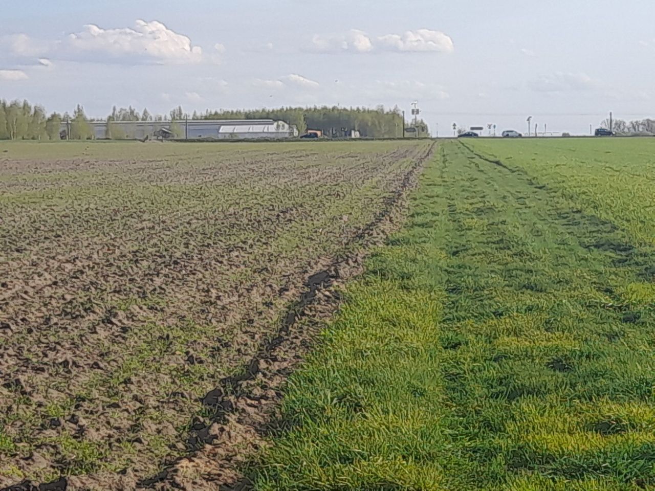 Działka inwestycyjna Krzemieniewo. Zdjęcie 5