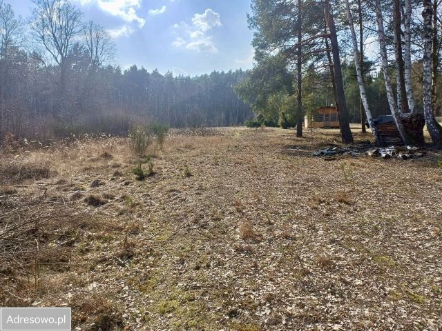 Działka inwestycyjna Popielarnia. Zdjęcie 1