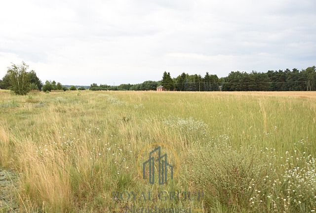 Działka siedliskowa Górka. Zdjęcie 4