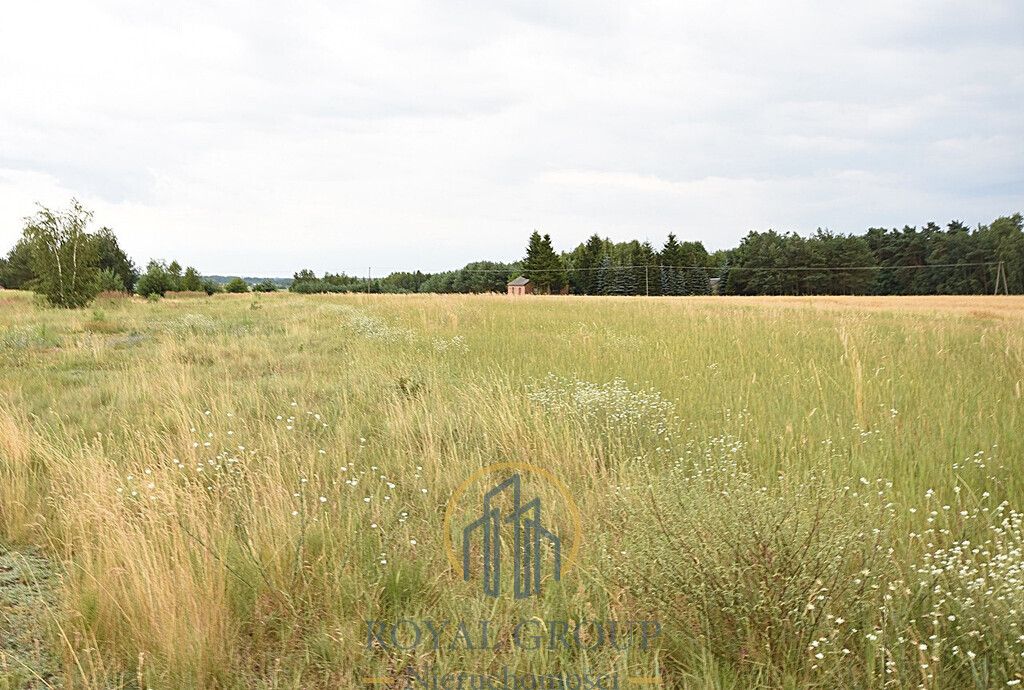 Działka siedliskowa Górka. Zdjęcie 4