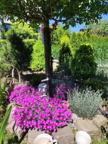 Mieszkanie 3-pokojowe Bielsko-Biała, ul. św. Franciszka. Zdjęcie 18