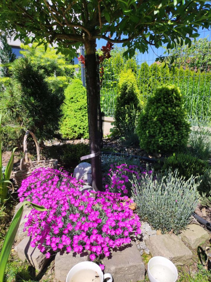 Mieszkanie 3-pokojowe Bielsko-Biała, ul. św. Franciszka. Zdjęcie 18