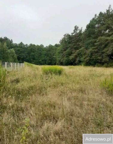 Działka siedliskowa Wólka Poznańska. Zdjęcie 1