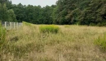 Działka siedliskowa Wólka Poznańska